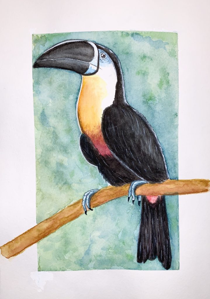 Tukan-Aquarell - fertig